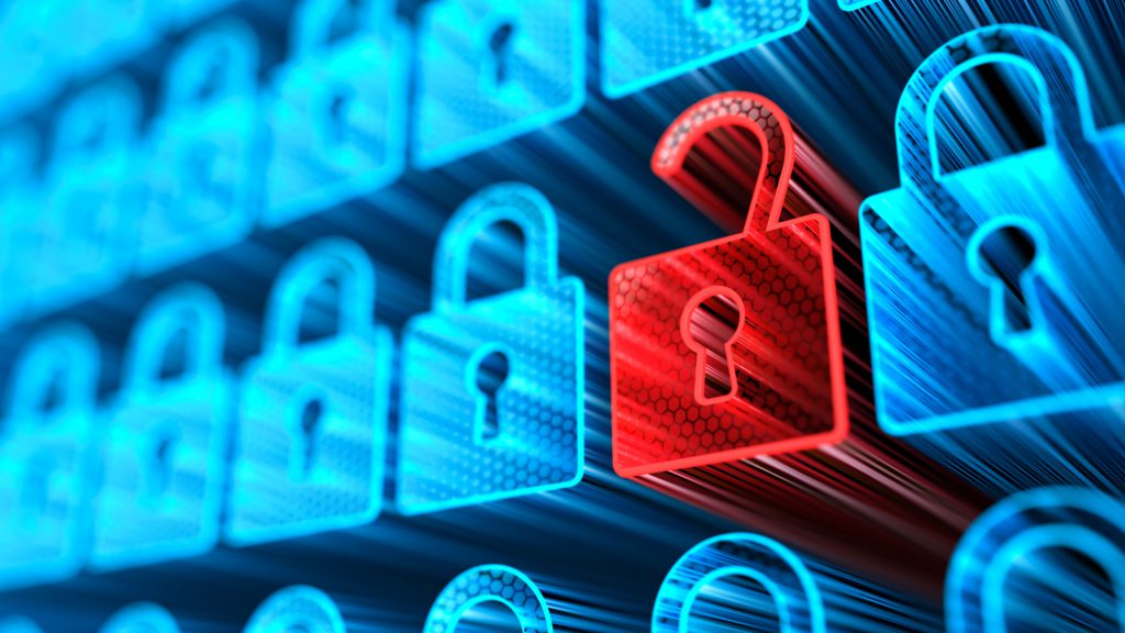 Kinds of Security Risks for Organisations Implementing ERP