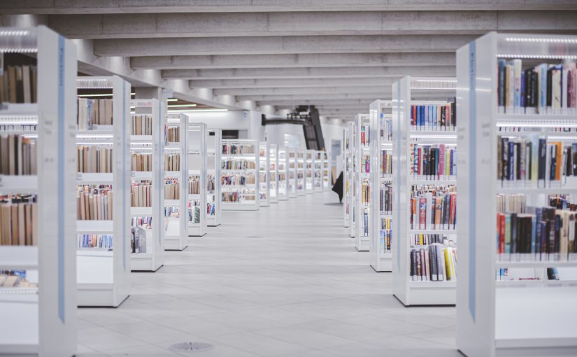 Does Singapore Library need ERP System?