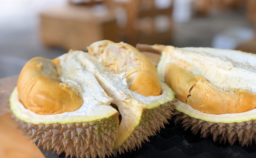 Everyone Loves a CRM System: The Business World’s Durian