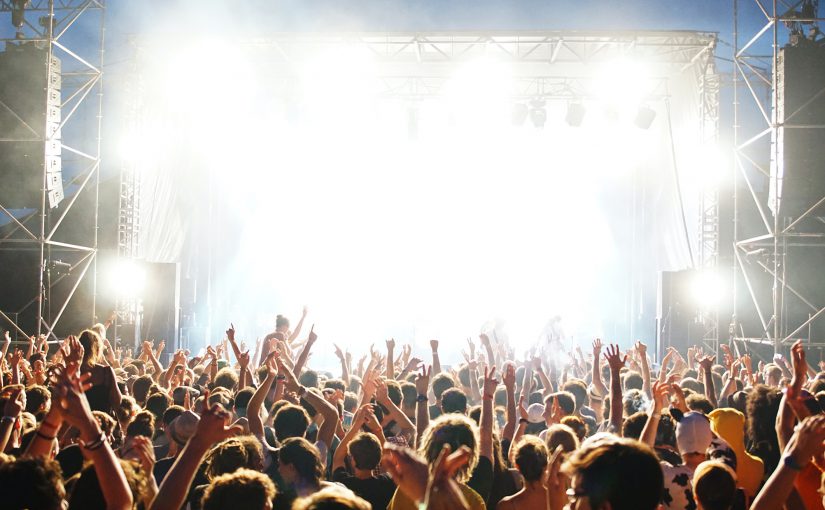 ERP within the Music Concert Industry: Harmonizing for Success