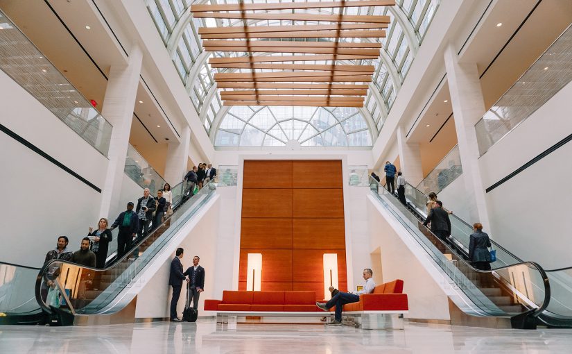 Riding the Business Escalator: The Power of ERP Systems