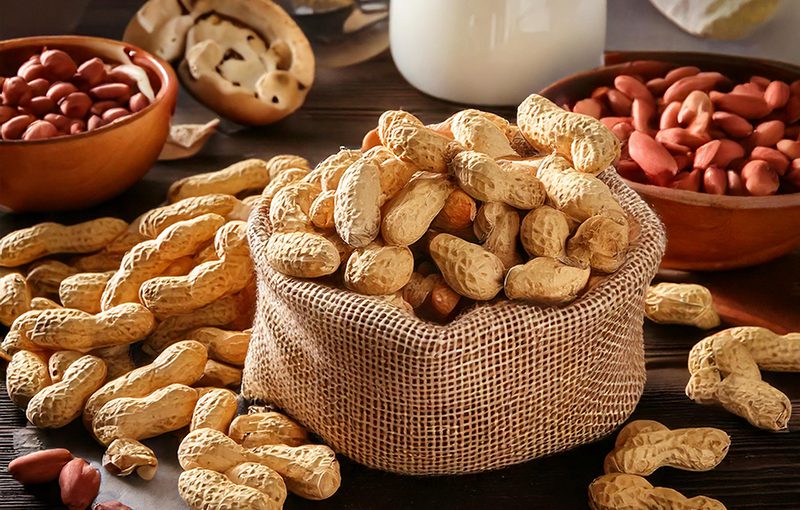 Navigating the Insights of SFA Peanut Product Recall in Singapore’s ERP Landscape