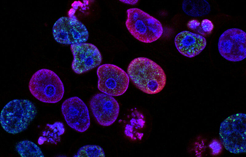 Revolutionizing Biotech in Singapore: DeepSeek’s AI and ERP Systems Leading the Charge