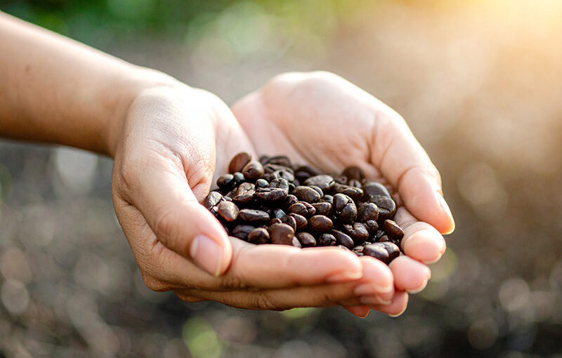 How HCM Systems Enhance Singapore’s Palm Oil Industry Efficiency