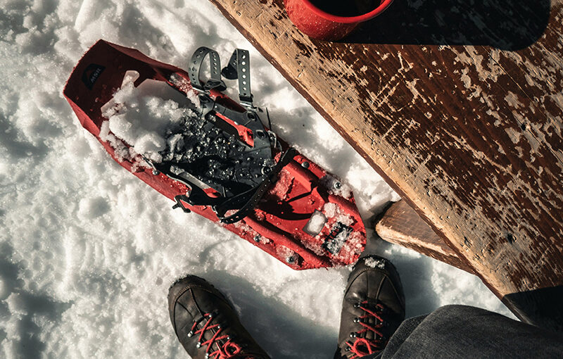 Singapore’s Maritime Sector Boosted by AI and ERP Systems Integration